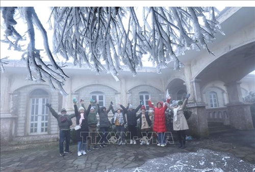 Lạng Sơn: Đỉnh núi Mẫu Sơn xuất hiện băng giá thu hút đông du khách